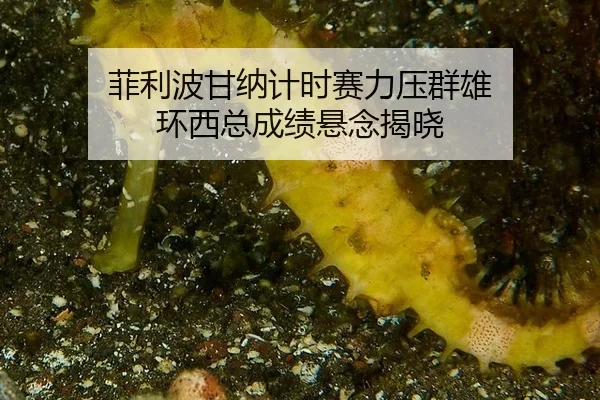 fei-li-bo-gan-na-ji-shi-sai-li-ya-qun-xiong-huan-xi-zong-cheng-ji-xuan-nian-jie-xiao-2-951.jpg