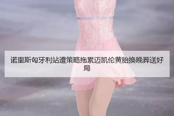 nuo-li-si-xiong-ya-li-zhan-zao-ce-lve-tuo-lei-mai-kai-lun-huang-tai-huan-wan-zang-song-hao-ju-2-471.jpg
