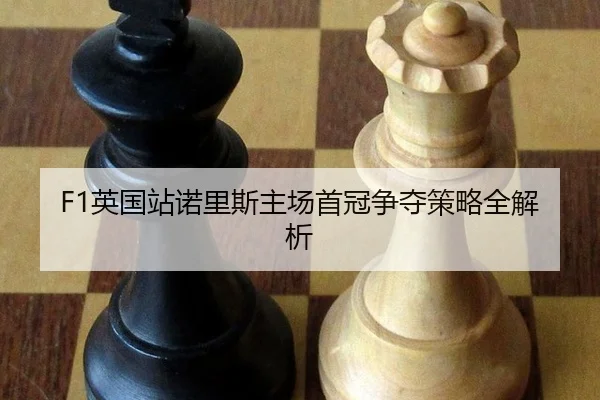 ying-guo-zhan-nuo-li-si-zhu-chang-shou-guan-zheng-duo-ce-lve-quan-jie-xi-1-477.jpg