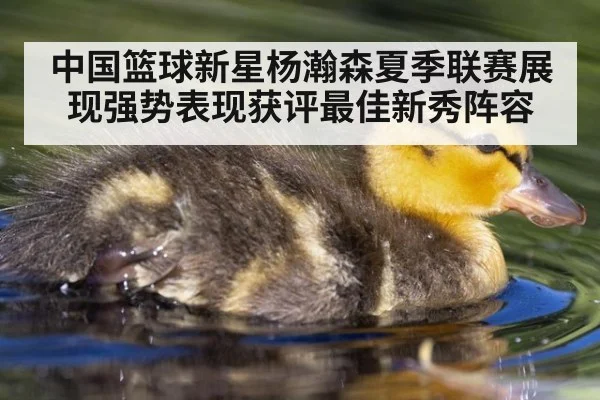 中国篮球新星杨瀚森夏季联赛展现强势表现获评最佳新秀阵容