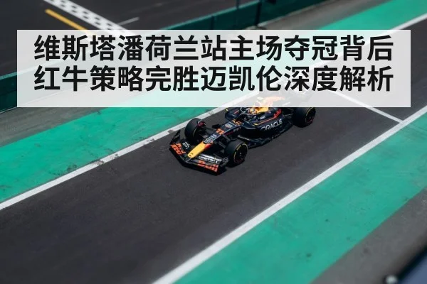 Max Verstappen Dutch Grand Prix